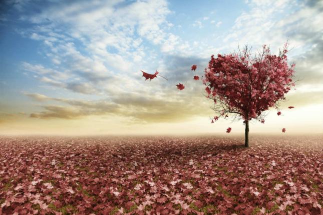 10 misterios del amor explicados por la ciencia