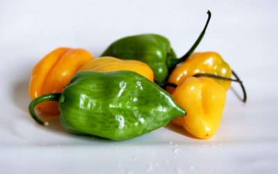 10 beneficios del chile